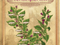 Gauzy dust-filled horror: Review of The Atropine&nbsp;Tree